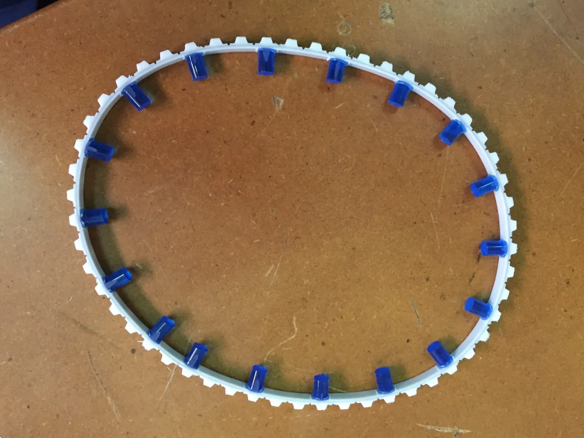 Correa dentada blanca con tacos azules aplicados sobre el dorso